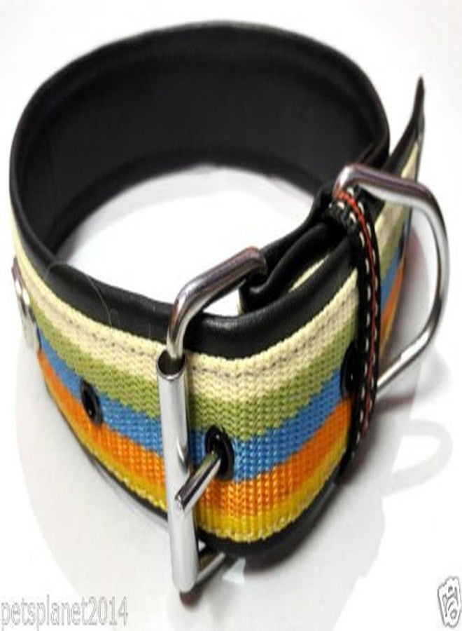 Ocean Wave Petsplanet Dog Collar with Stylish Design & Soft Pad- 5 Color Strip - Image 4